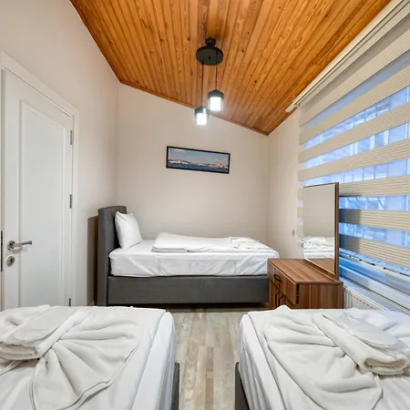 Hagia Detached House 4*